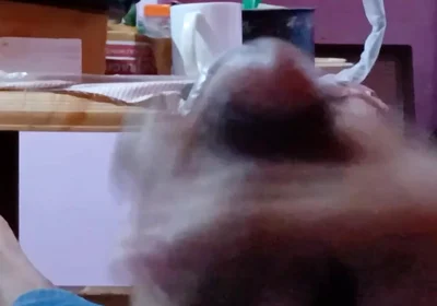 Amateur Masturbation Hand Job Teen Ass Teen a Dick Amateur Masturbation Hand Job