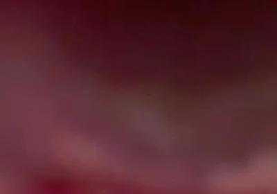 Your POV. Big Femboy Cock Right on Your Face