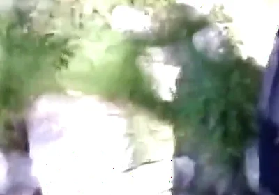 Jon Arteen Pissing Pee Outside. Twink Flirting in a Gay Cruising Park. Sexy Slim Boy in Adidas Sportwear