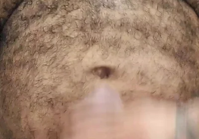 Lobo Video