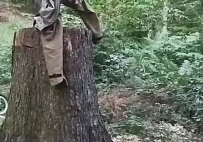 Stump Chase, Part One