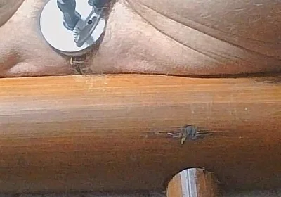 Long Edging