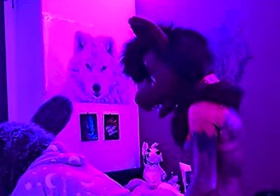 This Submissive Furry Bunny Slut Is Getting Pegged By A Furry Wolf So He Knows His Place