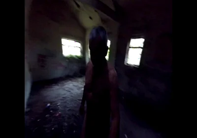 Nov Walk in the Woods