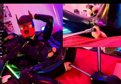 Doggy Rubber Show