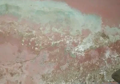 Big Cock Pees and Fucks His Bed Conspicuously