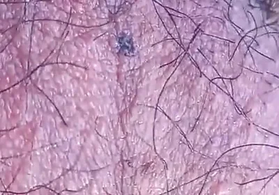 Sexy Twink's Hairy Balls Move All Alone for This Fascinating Gay Porn Video