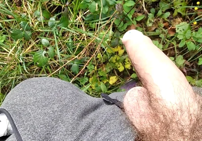 The Horny Stepfather Went on a Hike, When He Took Out His Bonita Cock a Tick Fell on His Cock