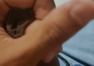 Cumming Loads From First POV