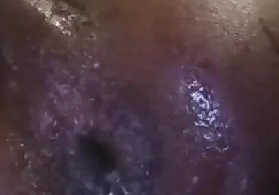 The Bussy