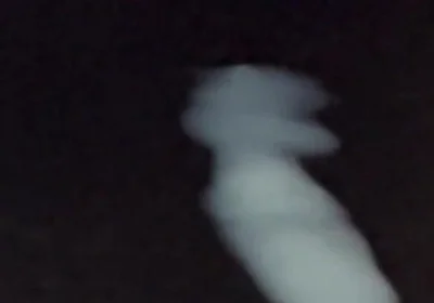 What Does Sperm Experience in Slow Motion?