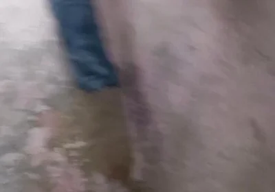 My Big Ass and Big Penis