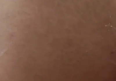 Try New Dildo