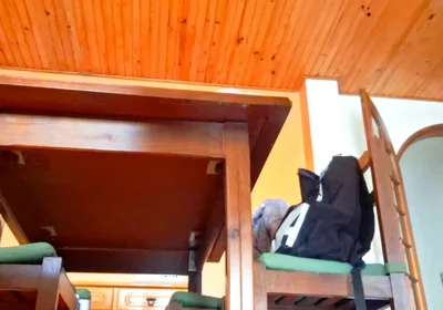 Horny Guy Humps Furniture Like Crazy - Table, Chair, Sofa & Kitchen Counter + Thick Cumshot