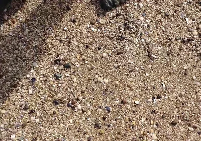 Short Test in the Mudflats on the Beach of Horumersiel
