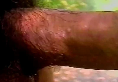 Sweet Latino Man Loving Outdoors