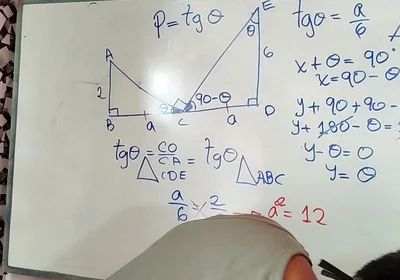 Trigonometry: Trigonometric Ratios Exercise 3