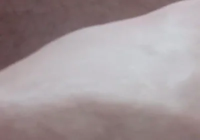 7547744