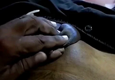 Enjoy My Small Dick