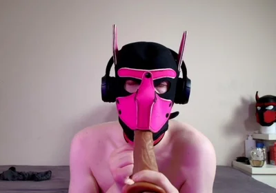 This Could Be Your Cock in Hound's Mouth