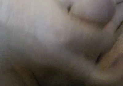 Cum Straw