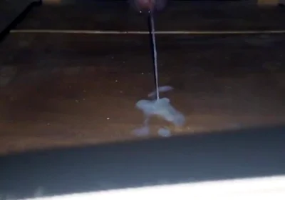 Compilation of Ejaculations. It's Fire