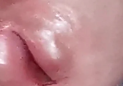 The Dick Growls at Its Owner