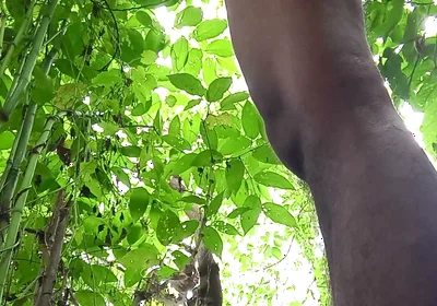 Jungle Masturbate I Need to Go Out for Horny