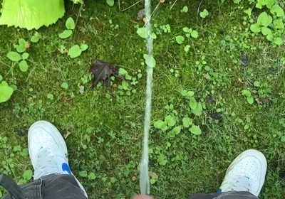 Golden Stream: Peeing in Paradise