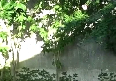 Fucked Raw in Exhib Ublic