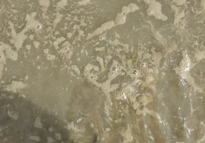 Barefoot in the September North Sea in Wangerland