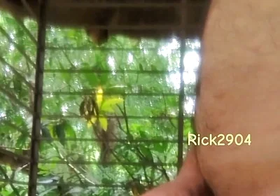 Playing with My Dick