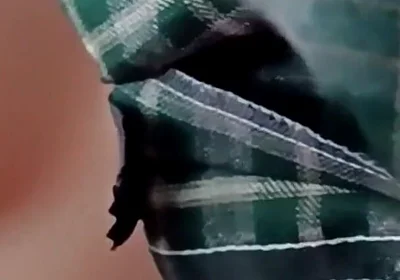 964 Asian Maid Accidentally Penetrated While Studying