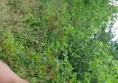Release in the Park