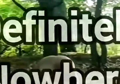 Ass on Full View in a Forest