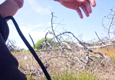 Perverted Man Masturbates His Beautiful Dick in a Beach