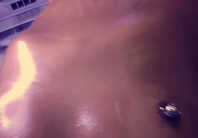 Tanning Salon Nude