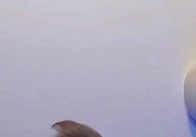 POV I'm Your Stepdad and I Love Pounding You