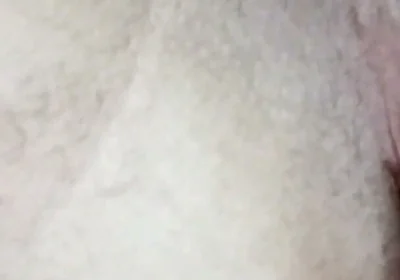 Hot Young Guy Showing off in Front of the Cameras