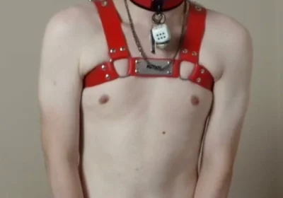 Needy Puppy Fucks His Toy Hard