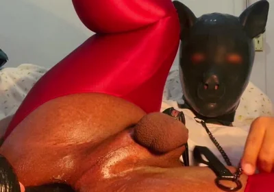 Please Insert a Very Thick Dick with a Leash Into My Ass and Whip Me a Lot While I Hold This Position.