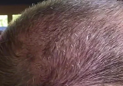 The Scent of Leather