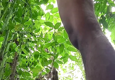 Jungle Masturbate I Need to Go Out for Horny