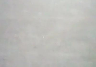 Slamming My Penis Until I'm Squirting Milk