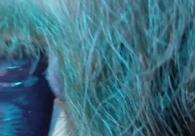 Stepdaddy Learns to Suck Cock