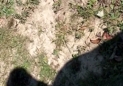 Shadow of Me Beating My Dick Outside Again