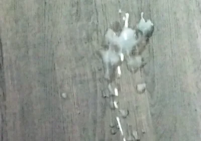 Slo Mo Cumshot