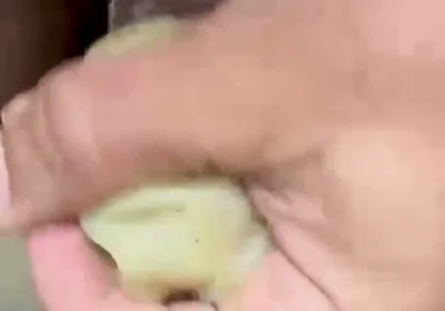 How to Use an Egg!
