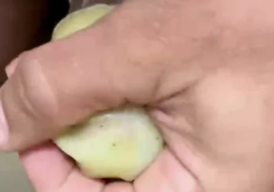 How to Use an Egg!