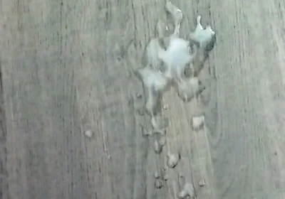 Slo Mo Cumshot